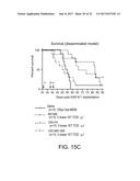 REPLICATION-COMPETENT VESICULAR STOMATITIS VIRUSES diagram and image