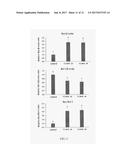 PLANT EXTRACT COMPOSITION FOR REDUCING TOPICAL FAT AND PROMOTING WEIGHT     LOSS AS WELL AS APPLICATION THEREOF diagram and image