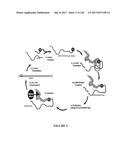 TFPI INHIBITORS AND METHODS OF USE diagram and image