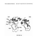 TFPI INHIBITORS AND METHODS OF USE diagram and image