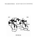 TFPI INHIBITORS AND METHODS OF USE diagram and image