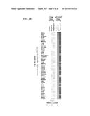 CDK MODULATORS AND METHODS FOR THE TREATMENT OF CANCER diagram and image