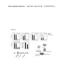 CDK MODULATORS AND METHODS FOR THE TREATMENT OF CANCER diagram and image