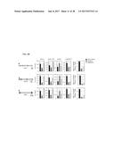 CDK MODULATORS AND METHODS FOR THE TREATMENT OF CANCER diagram and image