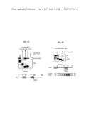 CDK MODULATORS AND METHODS FOR THE TREATMENT OF CANCER diagram and image