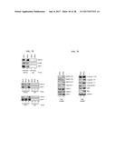CDK MODULATORS AND METHODS FOR THE TREATMENT OF CANCER diagram and image