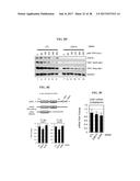 CDK MODULATORS AND METHODS FOR THE TREATMENT OF CANCER diagram and image