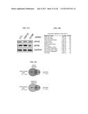 CDK MODULATORS AND METHODS FOR THE TREATMENT OF CANCER diagram and image