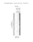 CDK MODULATORS AND METHODS FOR THE TREATMENT OF CANCER diagram and image