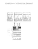 CDK MODULATORS AND METHODS FOR THE TREATMENT OF CANCER diagram and image