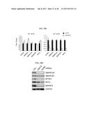 CDK MODULATORS AND METHODS FOR THE TREATMENT OF CANCER diagram and image