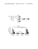 METHODS OF TREATING FRAGILE X SYNDROME AND RELATED DISORDERS diagram and image