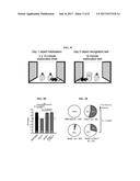 METHODS OF TREATING FRAGILE X SYNDROME AND RELATED DISORDERS diagram and image