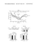 METHODS OF TREATING FRAGILE X SYNDROME AND RELATED DISORDERS diagram and image