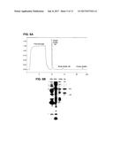 PREPARATION AND COMPOSITION OF INTER-ALPHA INHIBITOR PROTEINS FROM BLOOD diagram and image