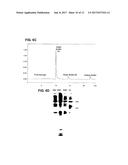 PREPARATION AND COMPOSITION OF INTER-ALPHA INHIBITOR PROTEINS FROM BLOOD diagram and image