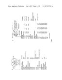 COMPLETE GENOME SEQUENCE OF THE METHANOGEN METHANOBREVIBACTER RUMINANTIUM diagram and image