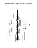 COMPLETE GENOME SEQUENCE OF THE METHANOGEN METHANOBREVIBACTER RUMINANTIUM diagram and image