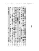 COMPLETE GENOME SEQUENCE OF THE METHANOGEN METHANOBREVIBACTER RUMINANTIUM diagram and image