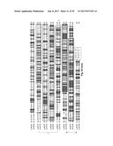 COMPLETE GENOME SEQUENCE OF THE METHANOGEN METHANOBREVIBACTER RUMINANTIUM diagram and image