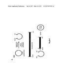 COMPLETE GENOME SEQUENCE OF THE METHANOGEN METHANOBREVIBACTER RUMINANTIUM diagram and image