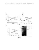 COMPLETE GENOME SEQUENCE OF THE METHANOGEN METHANOBREVIBACTER RUMINANTIUM diagram and image