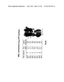 COMPLETE GENOME SEQUENCE OF THE METHANOGEN METHANOBREVIBACTER RUMINANTIUM diagram and image