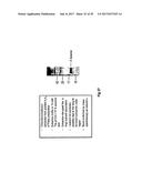 COMPLETE GENOME SEQUENCE OF THE METHANOGEN METHANOBREVIBACTER RUMINANTIUM diagram and image