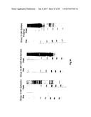 COMPLETE GENOME SEQUENCE OF THE METHANOGEN METHANOBREVIBACTER RUMINANTIUM diagram and image