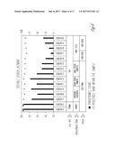 MANF as a Regulator of Immune System Function diagram and image