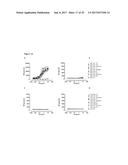 ANTIBODIES BINDING AXL diagram and image