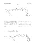 ANTIBODIES BINDING AXL diagram and image