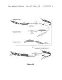 Bi-Specific Monovalent Diabodies That are Capable of Binding CD19 and CD3,     and Uses Thereof diagram and image