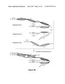 Bi-Specific Monovalent Diabodies That are Capable of Binding CD19 and CD3,     and Uses Thereof diagram and image