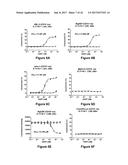 Bi-Specific Monovalent Diabodies That are Capable of Binding CD19 and CD3,     and Uses Thereof diagram and image