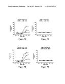 Bi-Specific Monovalent Diabodies That are Capable of Binding CD19 and CD3,     and Uses Thereof diagram and image