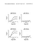 Bi-Specific Monovalent Diabodies That are Capable of Binding CD19 and CD3,     and Uses Thereof diagram and image