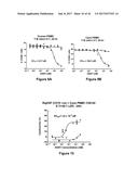 Bi-Specific Monovalent Diabodies That are Capable of Binding CD19 and CD3,     and Uses Thereof diagram and image