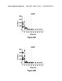 Bi-Specific Monovalent Diabodies That are Capable of Binding CD19 and CD3,     and Uses Thereof diagram and image