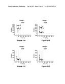 Bi-Specific Monovalent Diabodies That are Capable of Binding CD19 and CD3,     and Uses Thereof diagram and image