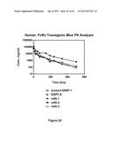 Bi-Specific Monovalent Diabodies That are Capable of Binding CD19 and CD3,     and Uses Thereof diagram and image