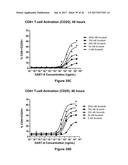 Bi-Specific Monovalent Diabodies That are Capable of Binding CD19 and CD3,     and Uses Thereof diagram and image