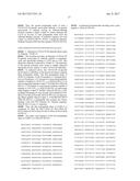 Bi-Specific Monovalent Diabodies That are Capable of Binding CD19 and CD3,     and Uses Thereof diagram and image