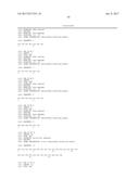 Bi-Specific Monovalent Diabodies That are Capable of Binding CD19 and CD3,     and Uses Thereof diagram and image