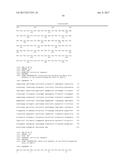 Bi-Specific Monovalent Diabodies That are Capable of Binding CD19 and CD3,     and Uses Thereof diagram and image