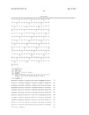 Bi-Specific Monovalent Diabodies That are Capable of Binding CD19 and CD3,     and Uses Thereof diagram and image