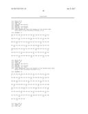 Bi-Specific Monovalent Diabodies That are Capable of Binding CD19 and CD3,     and Uses Thereof diagram and image