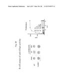 MODIFIED ANTIBODIES CONTAINING MODIFIED IGG2 DOMAINS WHICH ELICIT AGONIST     OR ANTAGONISTIC PROPERTIES AND USE THEREOF diagram and image