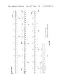 ANTI-KIT ANTIBODIES AND USES THEREOF diagram and image