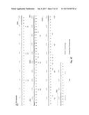 ANTI-KIT ANTIBODIES AND USES THEREOF diagram and image